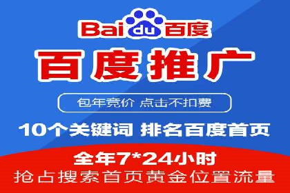 某某SEM团队成功案例：广告投放策略揭秘